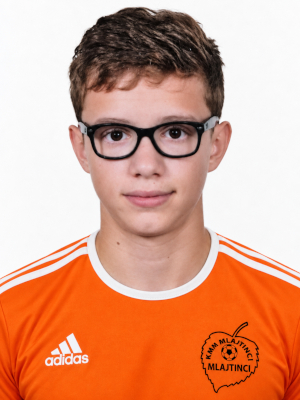 Niko Houbar
