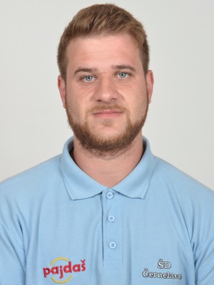 David Sedonja