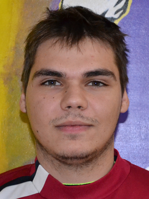 Mitja Gjergjek
